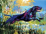 Black Labrador